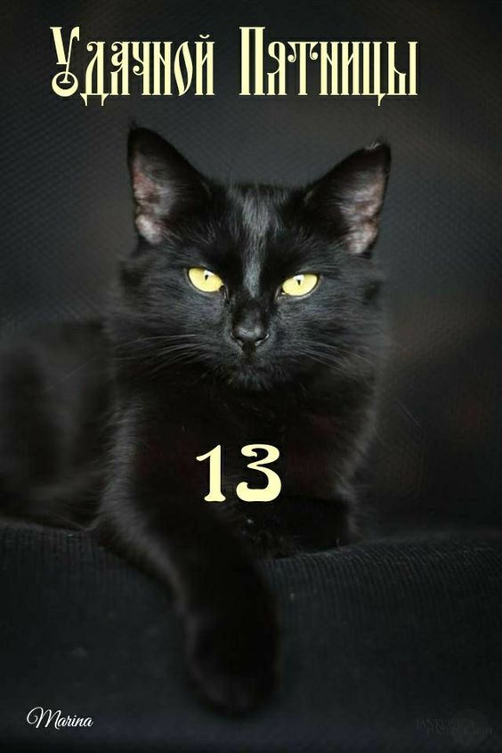 Удачной Пятницы
13