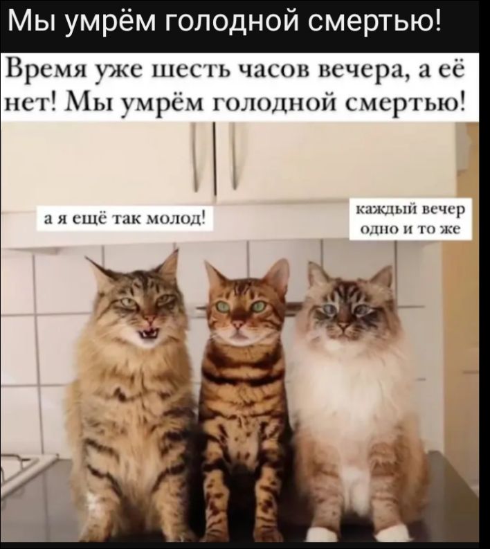 Мы умрём голодной смертью! Время уже шесть часов вечера, а её нет! Мы умрём голодной смерти! а я ещё так молод! каждый вечер одно и то же