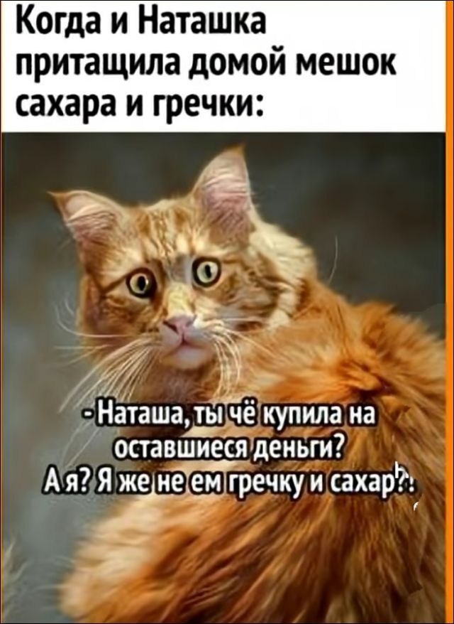 Когда и Наташка притащила домой мешок сахара и гречки:
- Наташа, ты чё купила на оставшиеся деньги? А я? Я же не ем гречку и сахар!