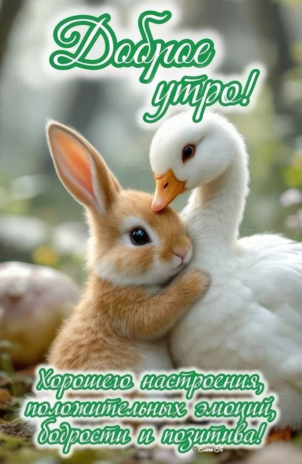 Доброе утро! Хорошего настроения, положительных эмоций, бодрости и позитива!