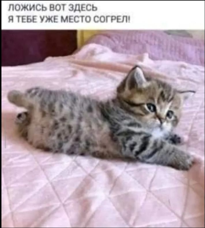 ЛОЖИСЬ ВОТ ЗДЕСЬ Я ТЕБЕ УЖЕ МЕСТО СОГРЕЛ!