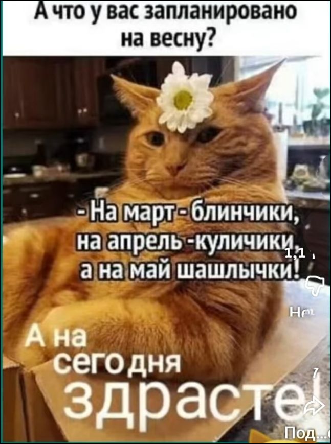 А что у вас запланировано на весну? - На март - блинчики, на апрель - куличики, а на май шашлычки! А на сегодня здрасте!