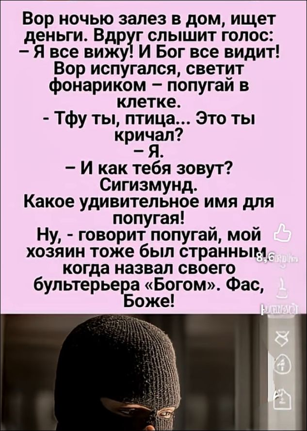 Вор ночью залез в дом, ищет деньги. Вдруг слышит голос: – Я все вижу! И Бог все видит! Вор испугался, светит фонариком – попугай в клетке. – Тфу ты, птица... Это ты кричал? – Я. – И как тебя зовут? Сигизмунд. Какое удивительное имя для попугая! Ну, – говорит попугай, мой хозяин тоже был странным, когда назвал своего бультерьера «Богом». Фас, Боже!