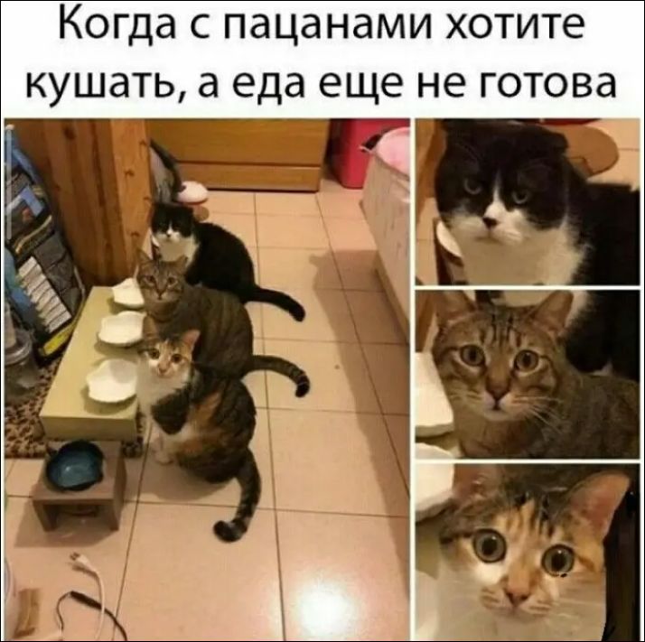 Когда с пацанами хотите кушать, а еда еще не готова