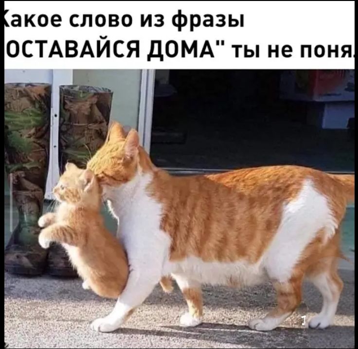 Какое слово из фразы 