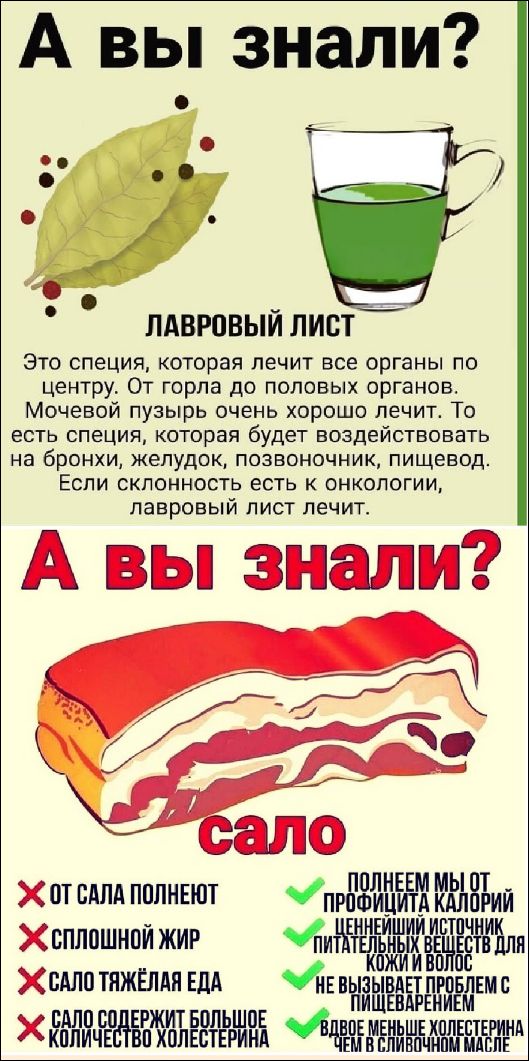 А вы знали? ЛАВРОВЫЙ ЛИСТ Это специя, которая лечит все органы по центру. От горла до половых органов. Мочевой пузырь очень хорошо лечит. То есть специя, которая будет воздействовать на бронхи, желудок, позвоночник, пищевод. Если склонность есть к онкологии, лавровый лист лечит. А вы знали? сало Х От сала полнеют Х Сплошной жир Х Сало тяжелая еда Х