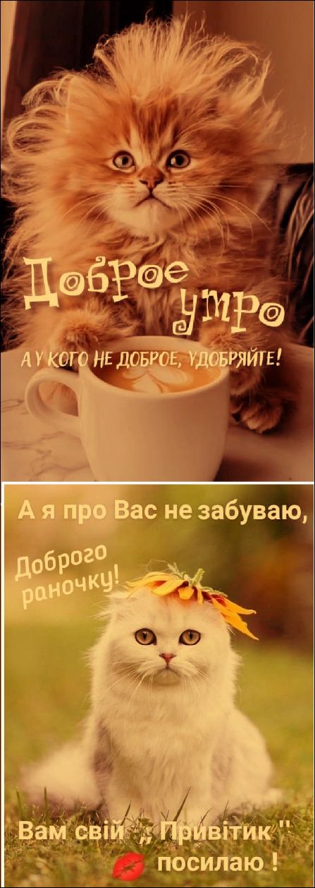 Доброе утро А у кого не доброе, удобряйте! А я про Вас не забуваю, Доброго раночку! Вам свій „Привітик“ посилаю!