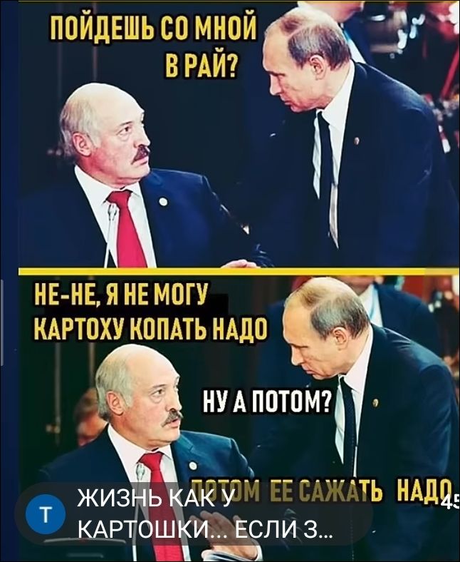 ПОЙДЕШЬ СО МНОЙ В РАЙ? НЕ-НЕ, Я НЕ МОГУ КАРТОХУ КОПАТЬ НАДО. НУ А ПОТОМ? ПОТОМ ЕЕ САЖАТЬ НАДО.