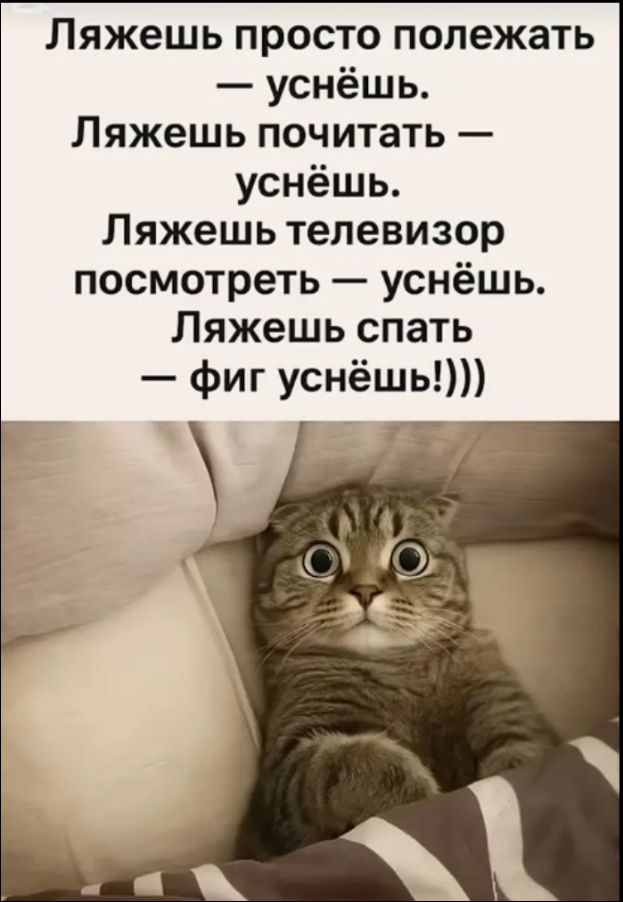 Ляжешь просто полежать — уснёшь.
Ляжешь почитать — уснёшь.
Ляжешь телевизор посмотреть — уснёшь.
Ляжешь спать — фиг уснёшь!)))