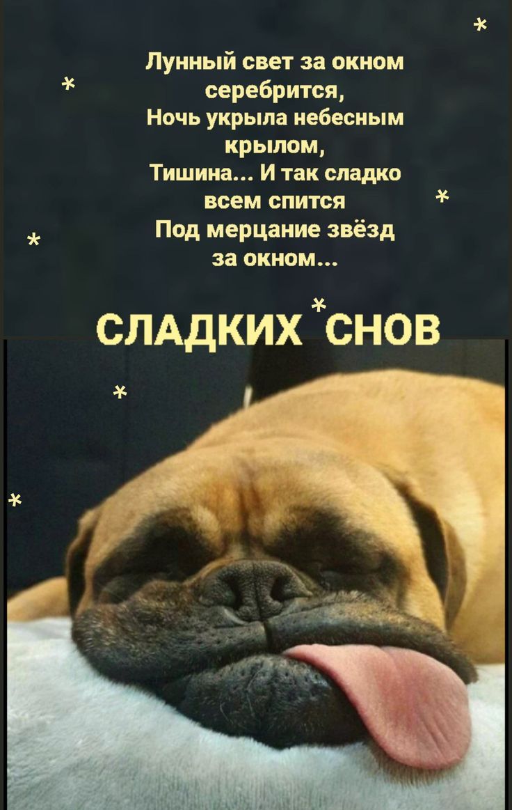Лунный свет за окном серебрится, Ночь укрыла небесным крылом, Тишина... И так сладко всем спится Под мерцание звёзд за окном... СЛАДКИХ СНОВ