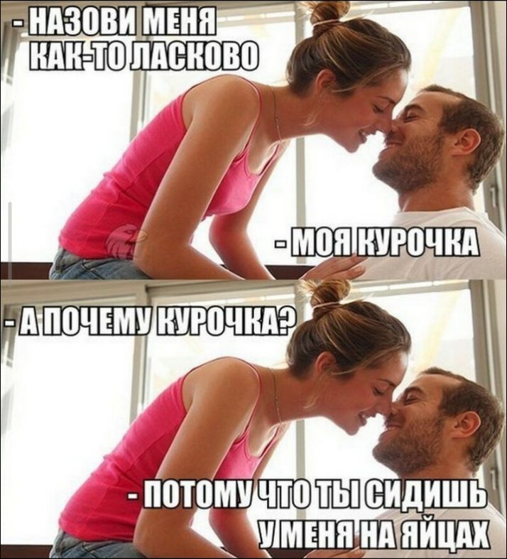 НАЗОВИ МЕНЯ КАК-ТО ЛАСКОВО - МОЯ КУРОЧКА - А ПОЧЕМУ КУРОЧКА? - ПОТОМУ ЧТО ТЫ СИДИШЬ У МЕНЯ НА ЯЙЦАХ
