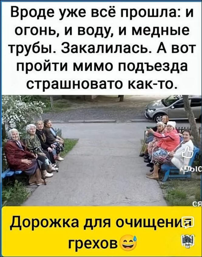 Вроде уже всё прошла: и огонь, и воду, и медные трубы. Закалилась. А вот пройти мимо подъезда страшновато как-то. Дорожка для очищения грехов 😂