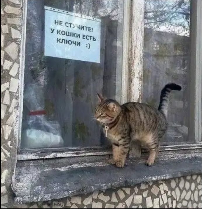 НЕ СТУЧИТЕ! У КОШКИ ЕСТЬ КЛЮЧИ :)