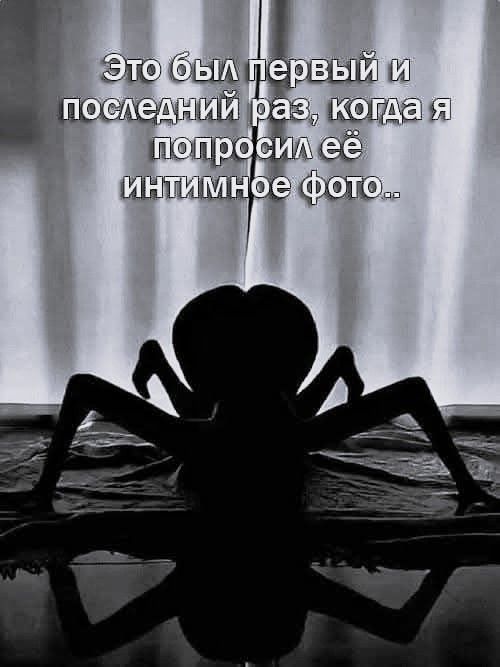 Это был первый и последний раз, когда я попросил её интимное фото..