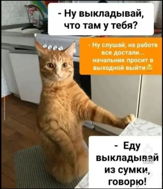 - Ну выкладывай, что там у тебя?
- Ну слушай, на работе все достали... начальник просит в выходной выйти 😩
- Еду выкладывай из сумки, говорю!