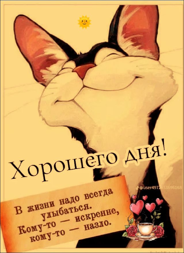 Хорошего Дня! В жизни надо всегда улыбаться. Кому-то — искренне, кому-то — назло.