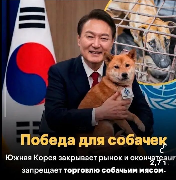 Победа для собачек. Южная Корея закрывает рынок и окончательно запрещает торговлю собачьим мясом.