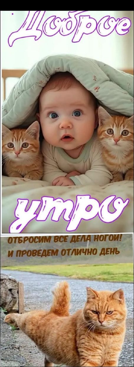Доброе утро ОТБРОСИМ ВСЕ ДЕЛА НОГОЙ! И ПРОВЕДЕМ ОТЛИЧНО ДЕНЬ