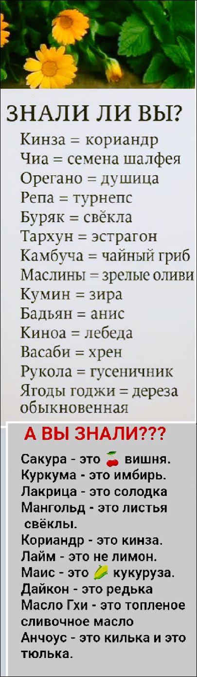 ЗНАЛИ ЛИ ВЫ?
Кинза = кориандр
Чиа = семена шалфея
Орегано = душица
Репа = турнепс
Буряк = свёкла
Тархун = эстрагон
Камбуча = чайный гриб
Маслины = зрелые оливы
Кумин = зира
Бадьян = анис
Киноа = лебеда
Васаби = хрен
Рукола = гусеничник
Ягоды годжи = дереза обыкновенная

А ВЫ ЗНАЛИ???
Сакура - это 🍒 вишня.
Куркума - это имбирь.
Лакрица - это