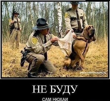 НЕ БУДУ
САМ НЮХАЙ