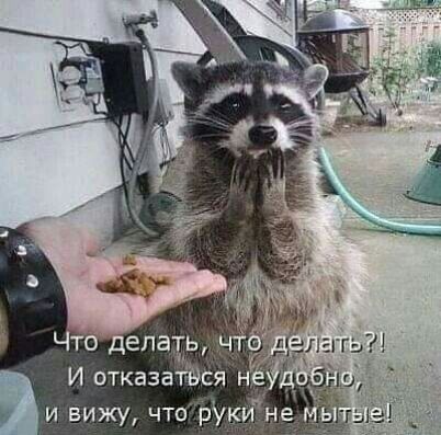 Что делать, что делать?! И отказаться неудобно, и вижу, что руки не мытые!