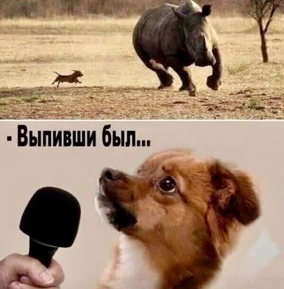 - Выпивши был...