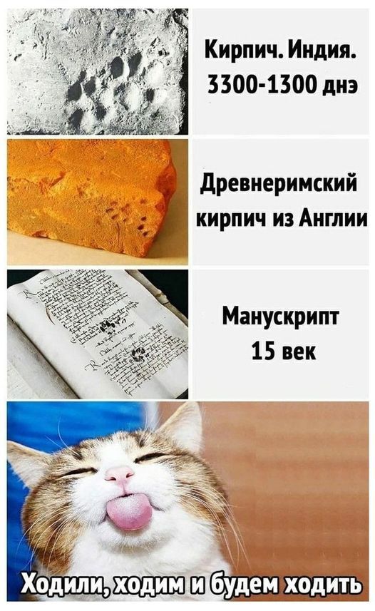 Кирпич. Индия. 3300-1300 дн
Древнеримский кирпич из Англии
Манускрипт 15 век
Ходили, ходим и будем ходить