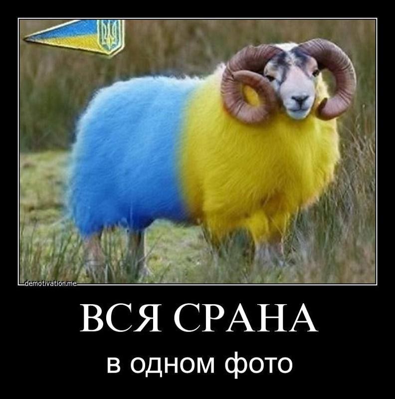 ВСЯ СРАНА В ОДНОМ ФОТО