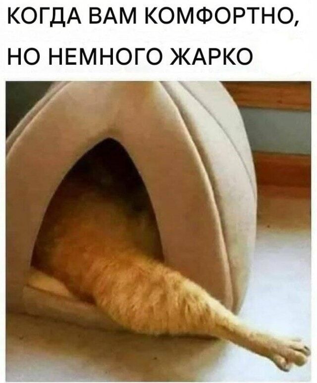 КОГДА ВАМ КОМФОРТНО, НО НЕМНОГО ЖАРКО