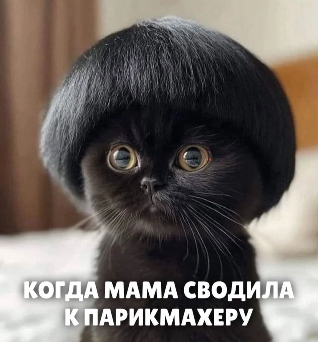КОГДА МАМА СВОДИЛА К ПАРИКМАХЕРУ