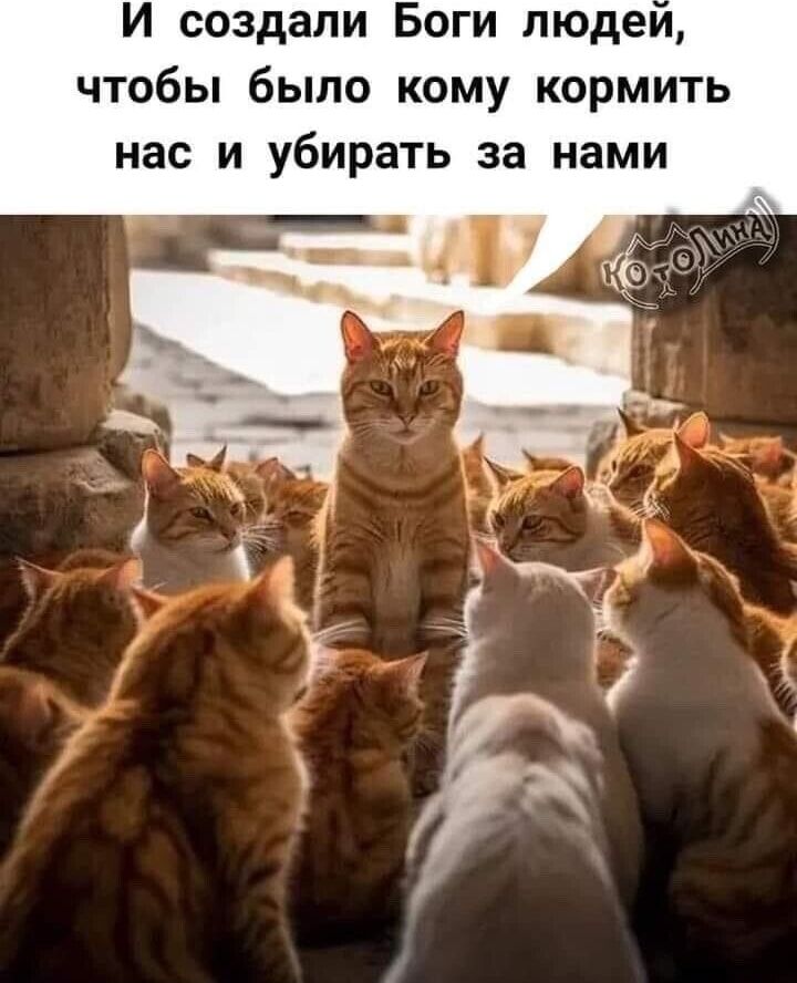 И создали Боги людей, чтобы было кому кормить нас и убирать за нами