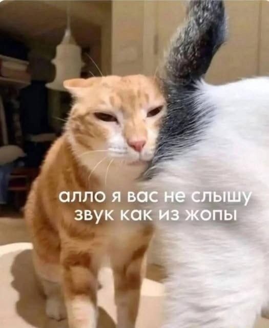 алло я вас не слышу звук как из жопы