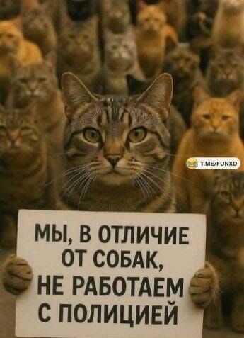 МЫ, В ОТЛИЧИЕ ОТ СОБАК, НЕ РАБОТАЕМ С ПОЛИЦИЕЙ