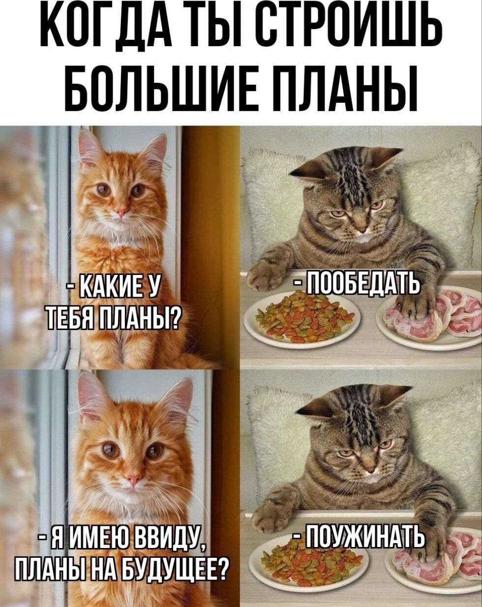 КОГДА ТЫ СТРОИШЬ БОЛЬШИЕ ПЛАНЫ
- КАКИЕ У ТЕБЯ ПЛАНЫ?
- ПОБЕДАТЬ
- Я ИМЕЮ ВВИДУ, ПЛАНЫ НА БУДУЩЕЕ?
- ПОУЖИНАТЬ