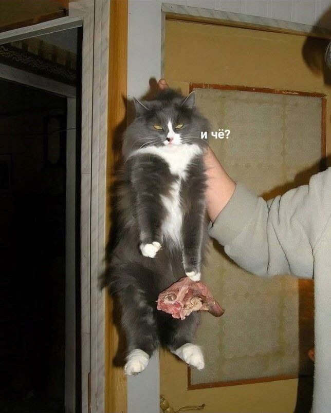 и чё?