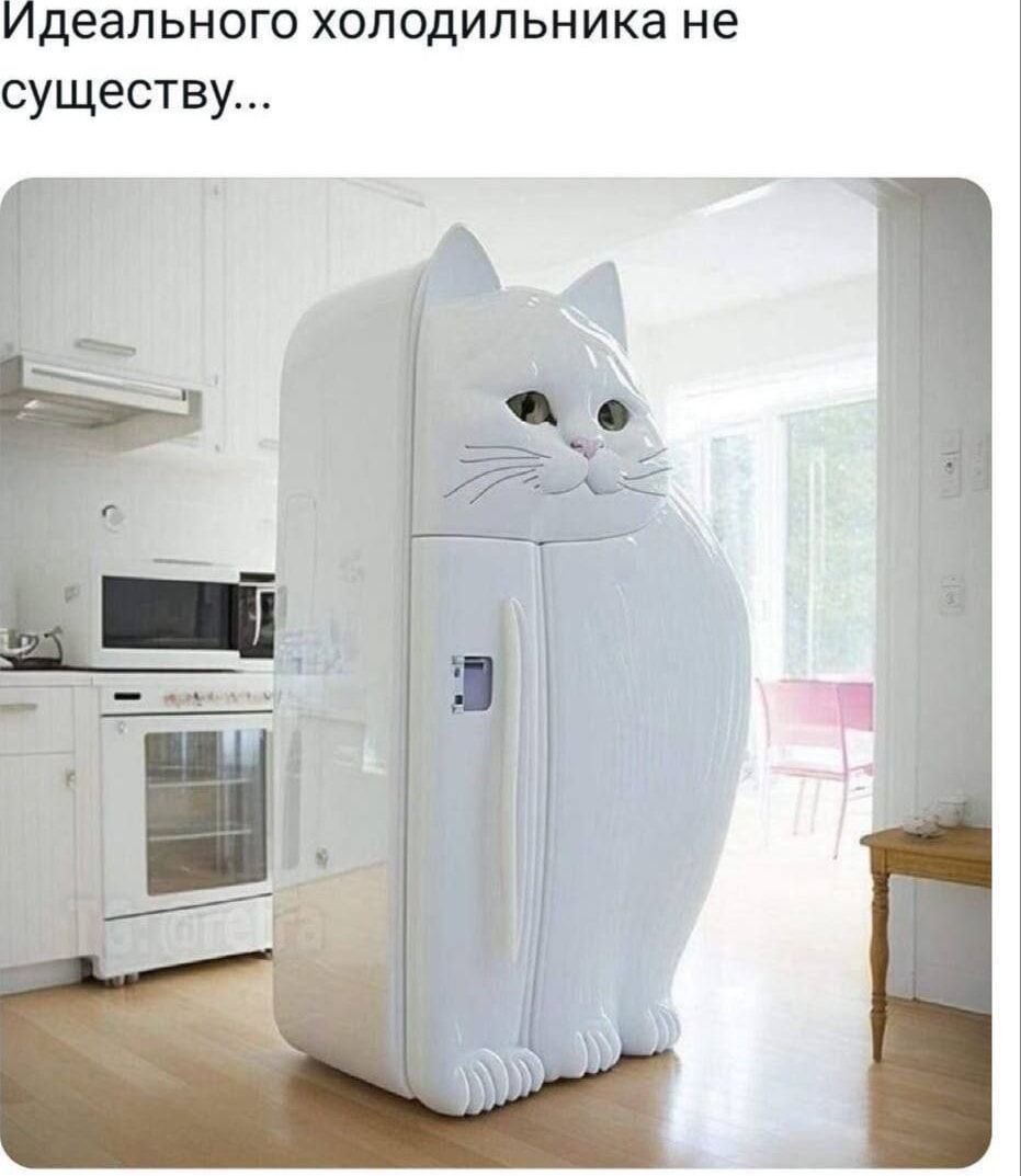 Идеального холодильника не существует...