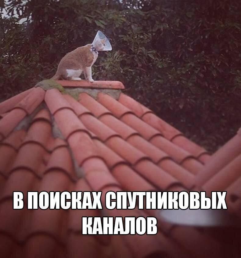 В ПОИСКАХ СПУТНИКОВЫХ КАНАЛОВ