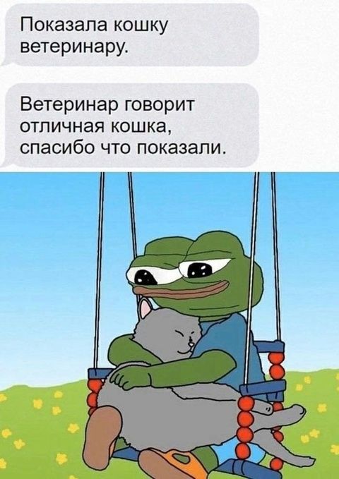 Показала кошку ветеринару.
Ветеринар говорит отличная кошка, спасибо что показали.