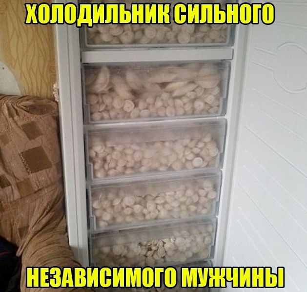ХОЛОДИЛЬНИК СИЛЬНОГО НЕЗАВИСИМОГО МУЖЧИНЫ
