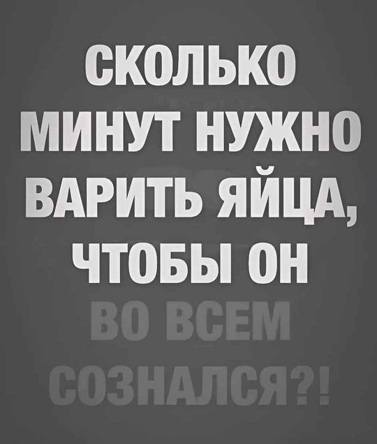 СКОЛЬКО МИНУТ НУЖНО ВАРИТЬ ЯЙЦА, ЧТОБЫ ОН ВО ВСЕМ СОЗНАЛСЯ?!