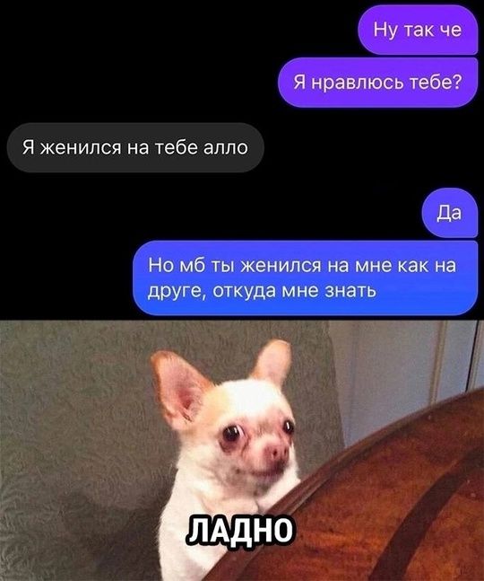 Ну так чё
Я нравлюсь тебе?
Я женился на тебе алло
Да
Но мб ты женился на мне как на другой, откуда мне знать
ЛАДНО