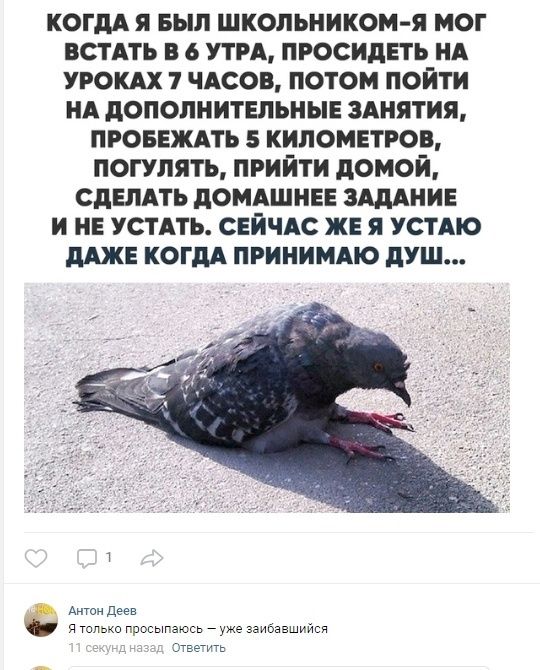 Когда я был школьником-Я мог встать в 6 утра, просидеть на уроках 7 часов, потом пойти на дополнительные занятия, пробежать 5 километров, погулять, прийти домой, сделать домашнее задание и не устать. Сейчас же я устаю даже когда принимаю душ...