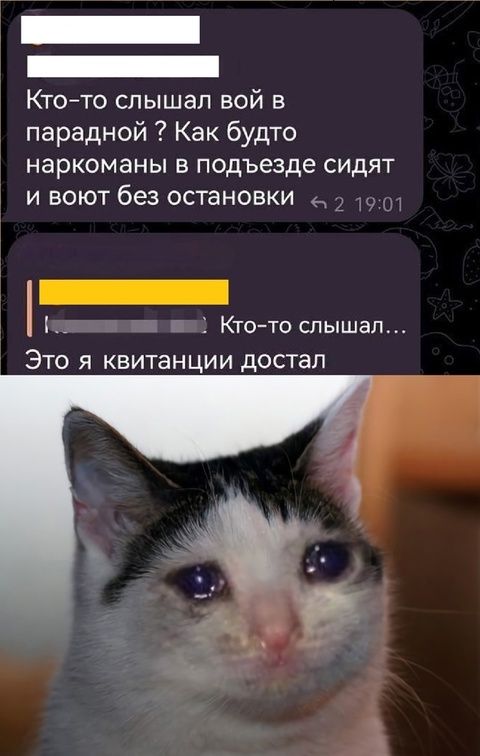Кто-то слышал вой в парадной? Как будто наркоманы в подъезде сидят и воют без остановки. Кто-то слышал... Это я квитанции достал