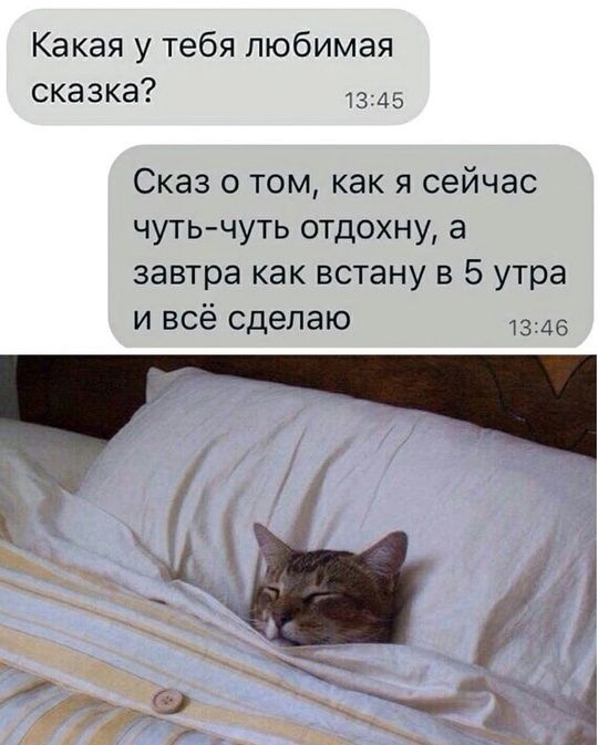 Какая у тебя любимая сказка?
Сказ о том, как я сейчас чуть-чуть отдохну, а завтра как встану в 5 утра и всё сделаю