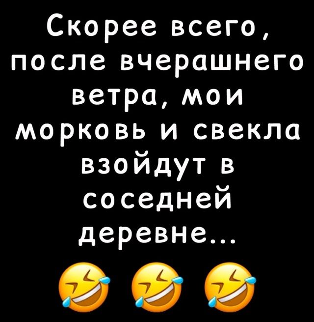 Скорее всего, после вчерашнего ветра, мои морковь и свекла взойдут в соседней деревне...