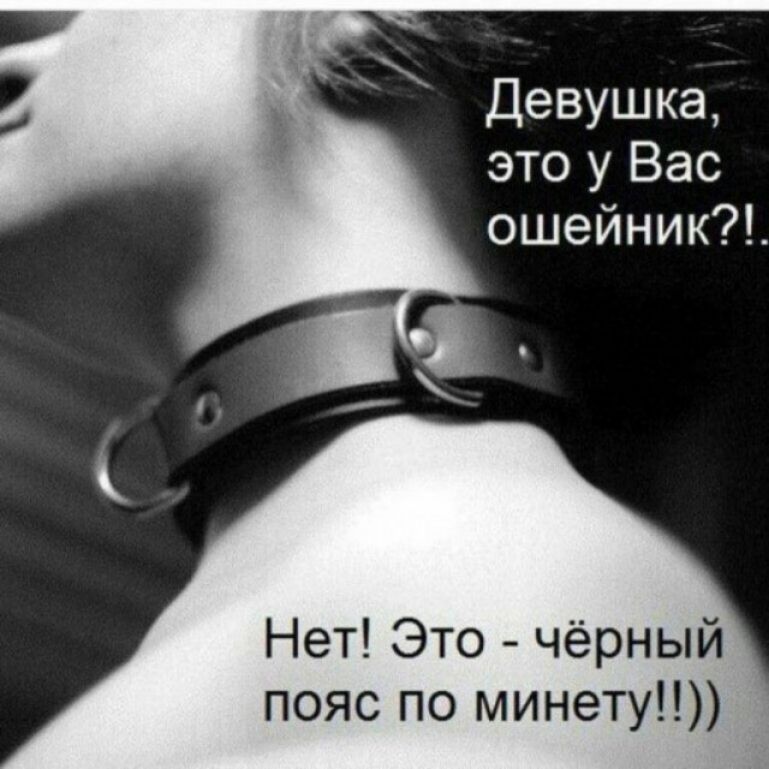 Девушка, это у Вас ошейник?!.. Нет! Это - чёрный пояс по минету!!)
