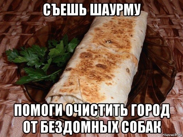 Съешь шаурму
помоги очистить город от бездомных собак