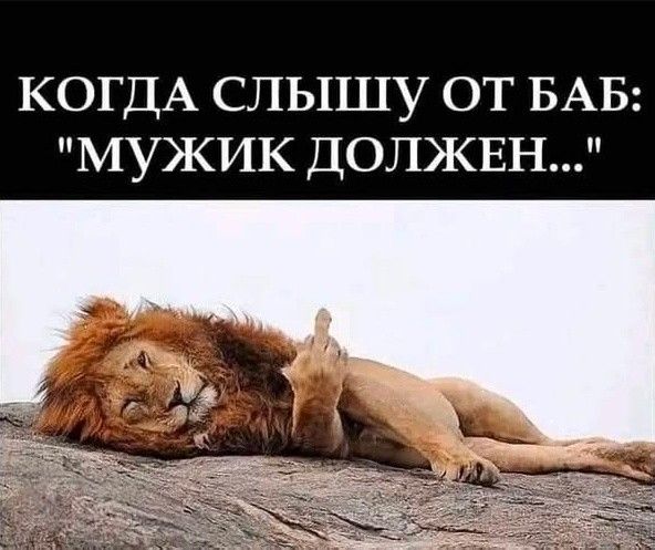КОГДА СЛЫШУ ОТ БАБ: 