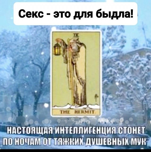 Секс - это для быдла! НАСТОЯЩАЯ ИНТЕЛЛИГЕНЦИЯ СТОНЕТ ПО НОЧАМ ОТ ТЯЖКИХ ДУШЕВНЫХ МУК
