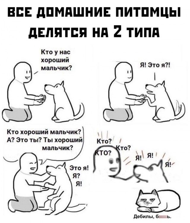 ВСЕ ДОМАШНИЕ ПИТОМЦЫ ДЕЛЯТСЯ НА 2 ТИПА
Кто у нас хороший мальчик?
Я! Это я?!
Кто хороший мальчик?
А? Это ты? Ты хороший мальчик?
Кто? КТО?
Кто?! Я! Я! Я!
Это я! Я? Я! Я!
Дебилы, блять.